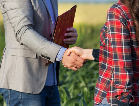 Man and woman shake hands in corn field