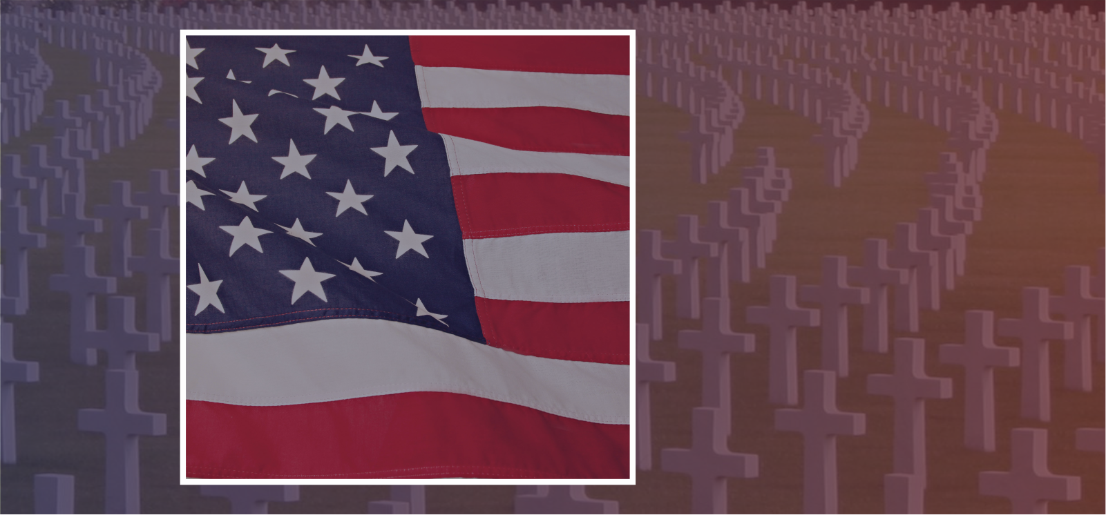 Left justified American flag image over white crosses in field watermark.
